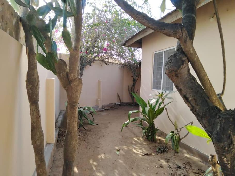 Nungwi Baobab Private House With Garden别墅 外观 照片
