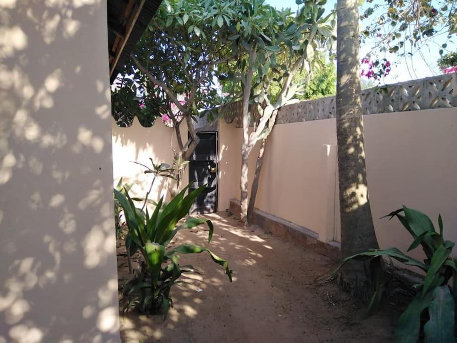 Nungwi Baobab Private House With Garden别墅 外观 照片